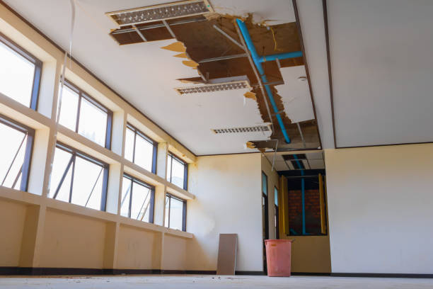 Best Commercial water damage restoration  in Harvard, IL
