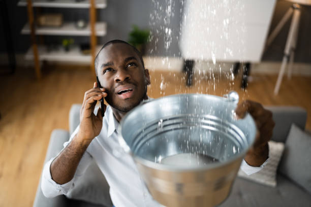 Best Water damage cleanup near me  in Harvard, IL