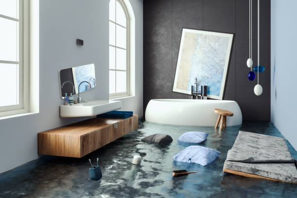 Best Mold removal after water damage  in Harvard, IL