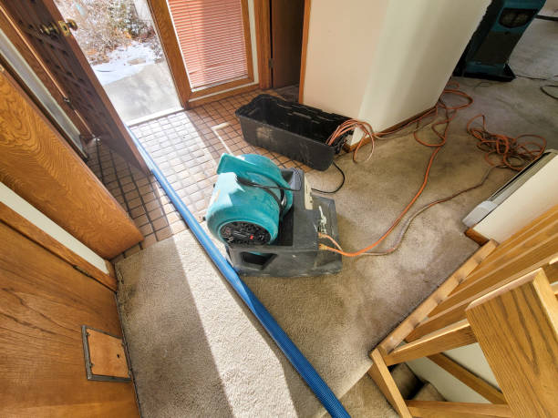 Best Water damage contractors near me  in Harvard, IL