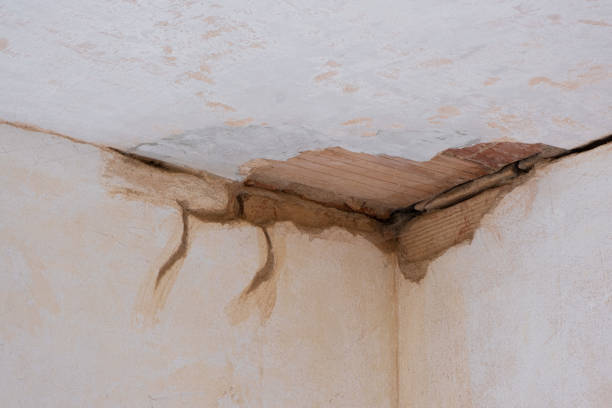 Best Emergency water damage restoration  in Harvard, IL