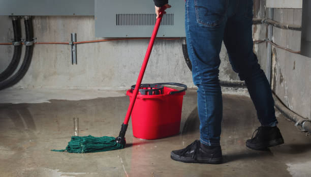 Best Water damage restoration near me  in Harvard, IL