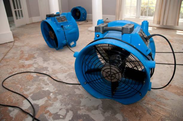 Best Water damage restoration near me  in Harvard, IL
