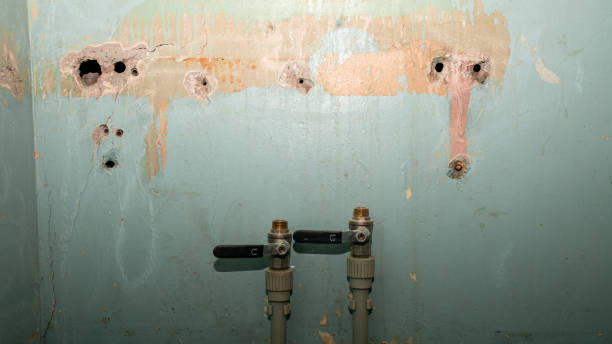 Best 24-hour water damage restoration  in Harvard, IL