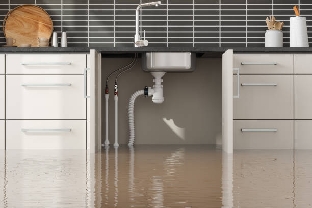 Best Sewage cleanup and water damage restoration  in Harvard, IL